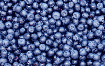 8 Of My Favorite Blueberry Recipes Of All Time