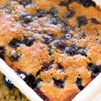 Grandma’s Easy Blueberry Cobbler — Great With Any Fruit!