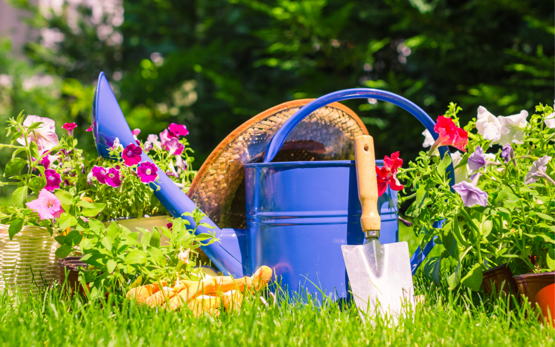 Helpful Tips to Spruce Up Your Garden