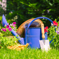 Helpful Tips to Spruce Up Your Garden